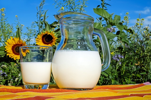 Having a glass of milk on a sunny day